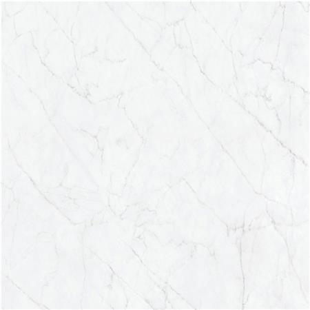 Montania Grey